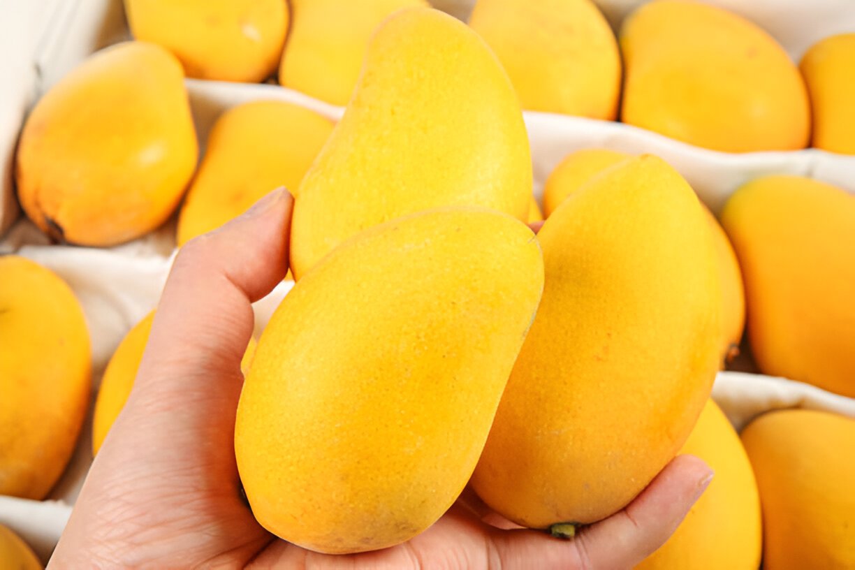 Katimon mango (কাটিমন আম) - Image 5