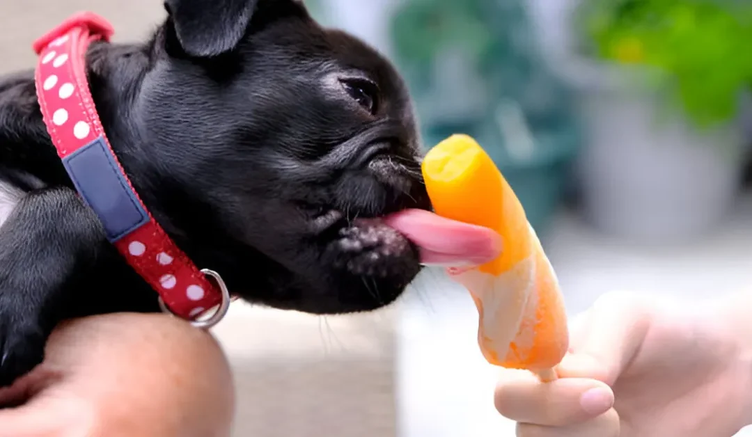 Can Dogs Eat Mango Ice Cream? Risks, Benefits, and Safe Alternatives