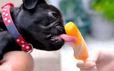 Can Dogs Eat Mango Ice Cream? Risks, Benefits, and Safe Alternatives