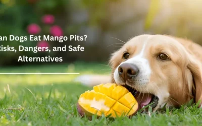 Can Dogs Eat Mango Pits? Risks, Dangers, and Safe Alternatives