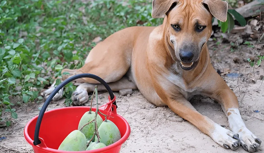 Can Dogs Eat Mango Skin? Safety, Benefits, and Risks Explained